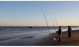 深圳钓鱼最新爆料,揭秘热门钓点与独家技巧分享